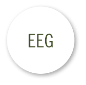 eeg-1